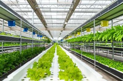 強(qiáng)化農(nóng)業(yè)科技創(chuàng)新與應(yīng)用的內(nèi)容,需實施現(xiàn)代種業(yè)科技支撐等行動