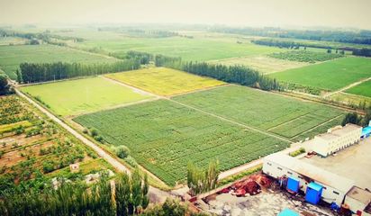 為種子保駕護航--新疆金豐源種業(yè)股份