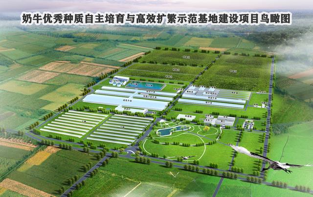 山東種業集團:培厚新動能,努力打造"中國芯"|強信心 穩經濟 促發展