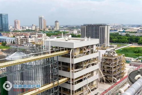 江海糧油張家港產(chǎn)業(yè)園二期榨油廠順利投產(chǎn)，年產(chǎn)96萬(wàn)噸助力種業(yè)與糧油產(chǎn)業(yè)鏈協(xié)同發(fā)展